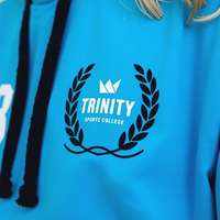 A hoodie with a school logo printed on the front left chest area.